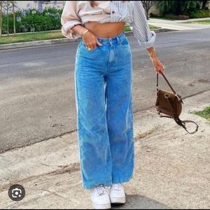 BDG High and Wide Blue Corduroy Pants • 24